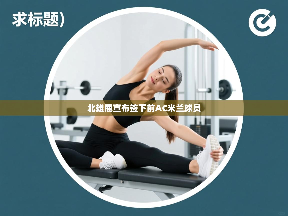 北雄鹿宣布签下前AC米兰球员 第2张