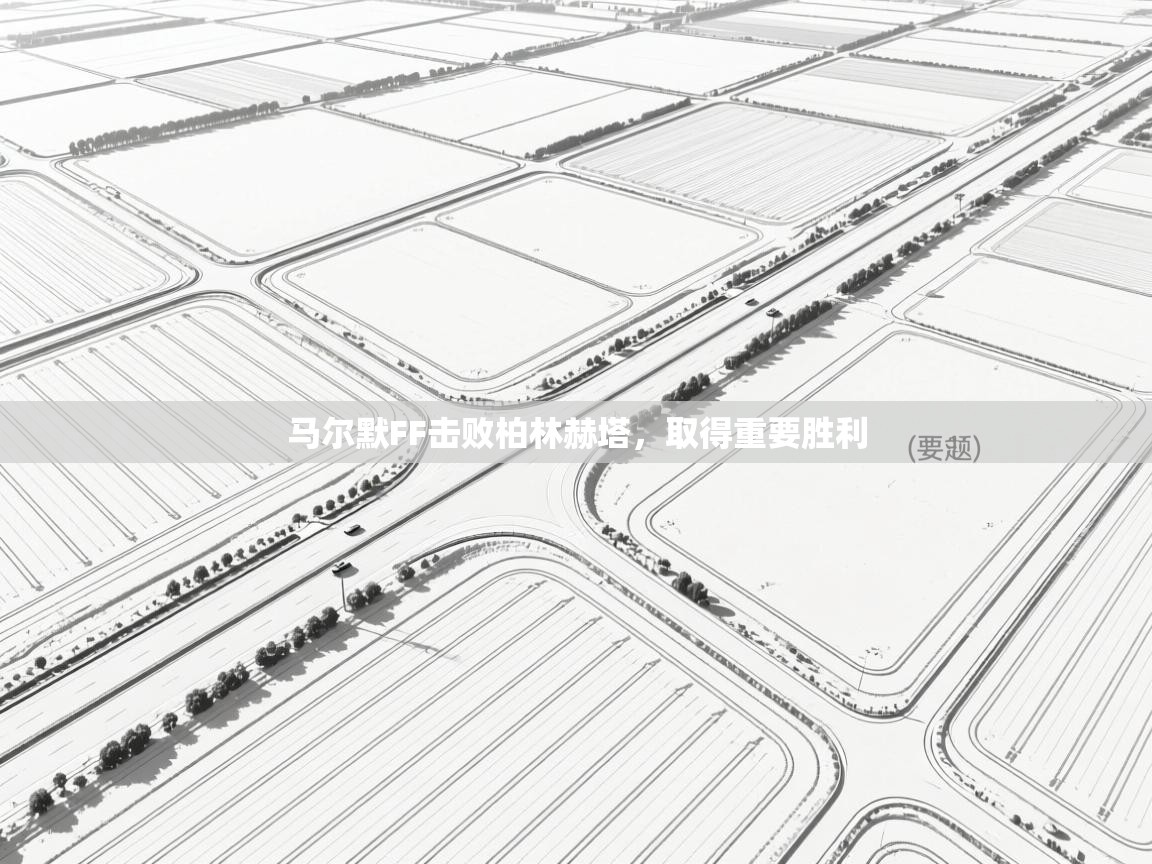 马尔默FF击败柏林赫塔，取得重要胜利